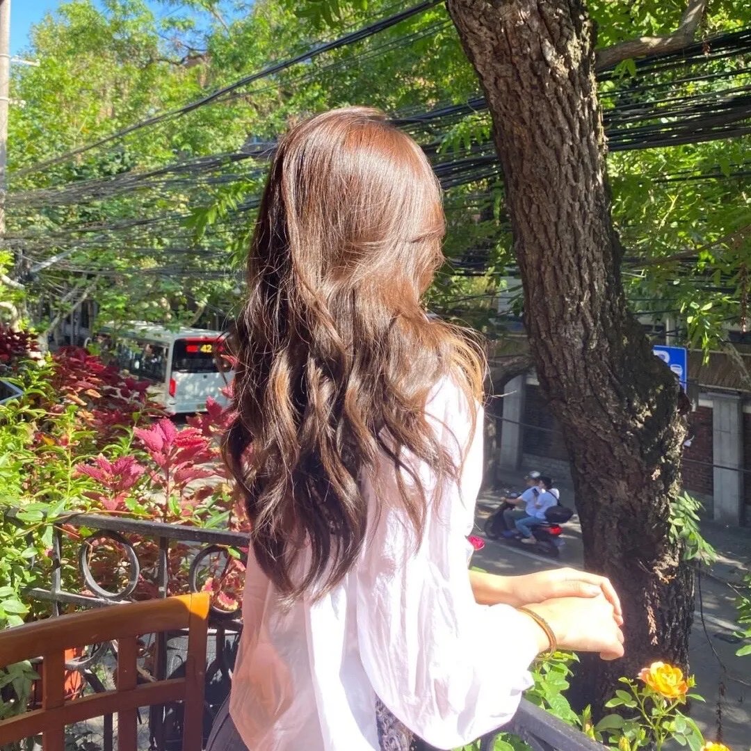 松树街的那幢房子