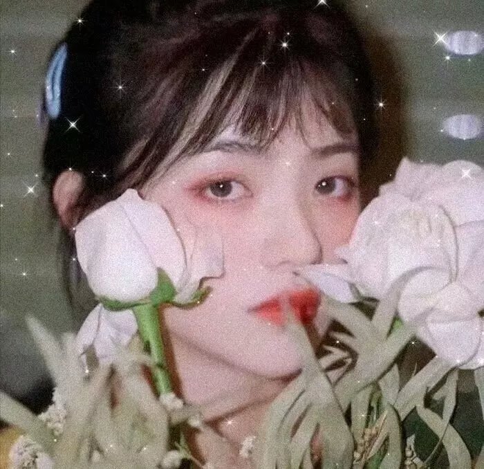 布希妈妈